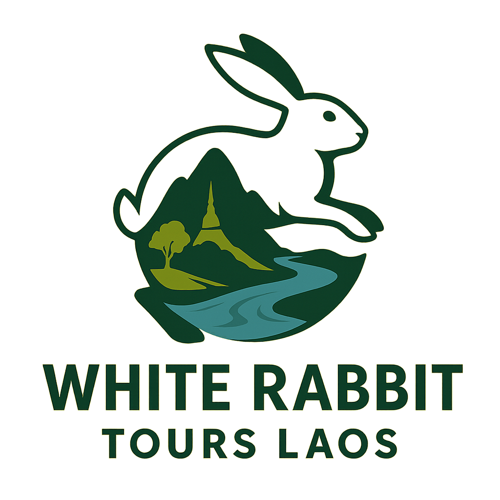 White Rabbit Tours